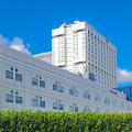 Exploring the American Academy of Anti-Aging Medicine in Hollywood, Florida